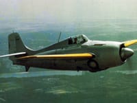 Grumman F4F Wildcat - Image 5