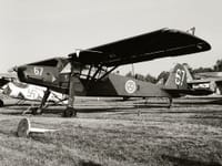Fieseler Fi 156 Storch - Image 10