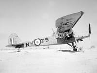 Fieseler Fi 156 Storch - Image 6