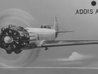 Nardi FN.305 - Image 4