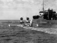 General Aviation PJ - Image 4