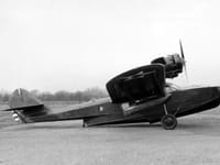 Douglas Dolphin - Image 4