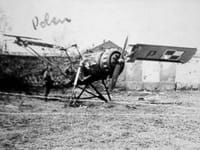 RWD-14 Czapla - Image 2