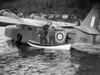 Grumman G-21 Goose - Image 8