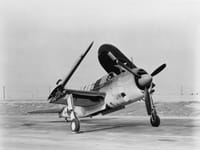 Brewster SB2A Buccaneer - Image 2