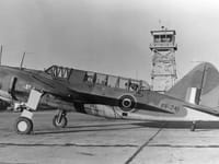 Brewster SB2A Buccaneer - Image 4