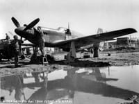 North American A-36 - Image 2