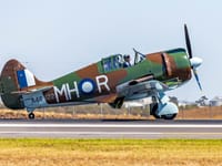 CAC Boomerang - Image 6