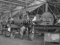 CAC Boomerang - Image 2