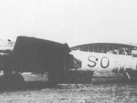 Dornier Do 217 - Image 5