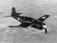 Douglas BTD Destroyer - Image 1
