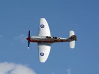 Hawker Sea Fury - Image 4
