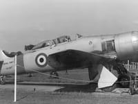 Hawker Sea Fury - Image 20