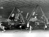 Hawker Sea Hawk - Image 7