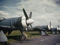 Hawker Tempest - Image 13