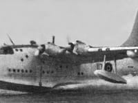 Short Seaford - Image 2