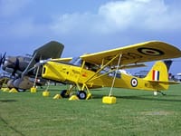 Auster AOP.6 - Image 4