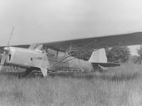 Auster J family - Image 6
