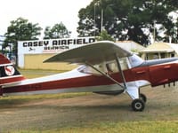 Auster J family - Image 8