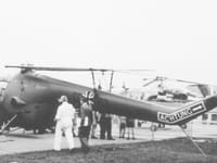 Bristol Sycamore - Image 11