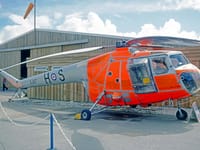 Bristol Sycamore - Image 5