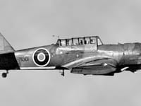 Miles Martinet - Image 3