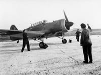 Miles Martinet - Image 5