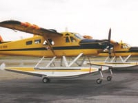 De Havilland Canada DHC-2 Beaver - Image 11