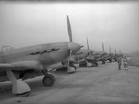 Yakovlev Yak-9 - Image 10