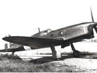Ambrosini SAI.207