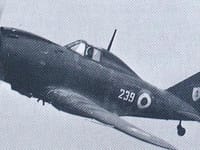Reggiane Re.2002 Ariete - Image 2