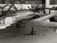 SAAB 21 - Image 3