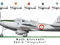 Bell P-63 Kingcobra - Image 12