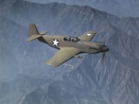 North American P-51 Mustang variants - Image 11