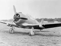 North American P-64 - Image 3