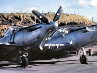 North American F-82 Twin Mustang - Image 10