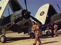 Vought F4U Corsair - Image 10