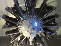 Ikarus 214 - Image 2