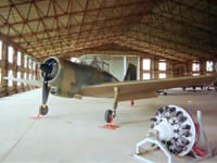 Percival Provost - Image 2