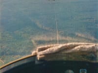 Pützer Elster - Image 3