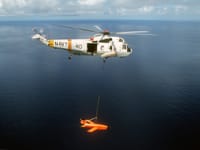 Ryan Firebee - Image 6