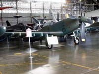 Cavalier Mustang - Image 4