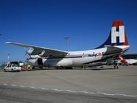 Short Belfast - Image 2