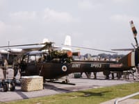 Westland Scout - Image 5
