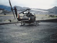 Westland Scout - Image 6