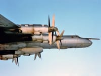 Tupolev Tu-142 - Image 5