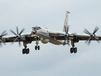 Tupolev Tu-142 - Image 7