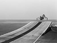 British Aerospace Sea Harrier - Image 14