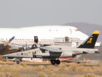 Dassault/Dornier Alpha Jet - Image 8