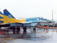 Mikoyan MiG-29 - Image 51